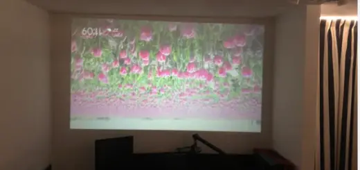 How to Flip Projector Upside Down NEC
